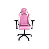 Epic Gamers Legend Series 4 Gaming Chair